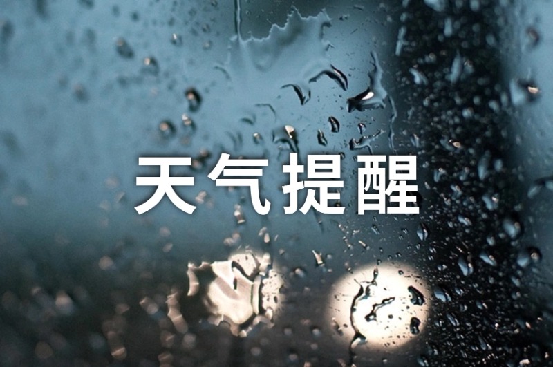 日至, 选手体验, https