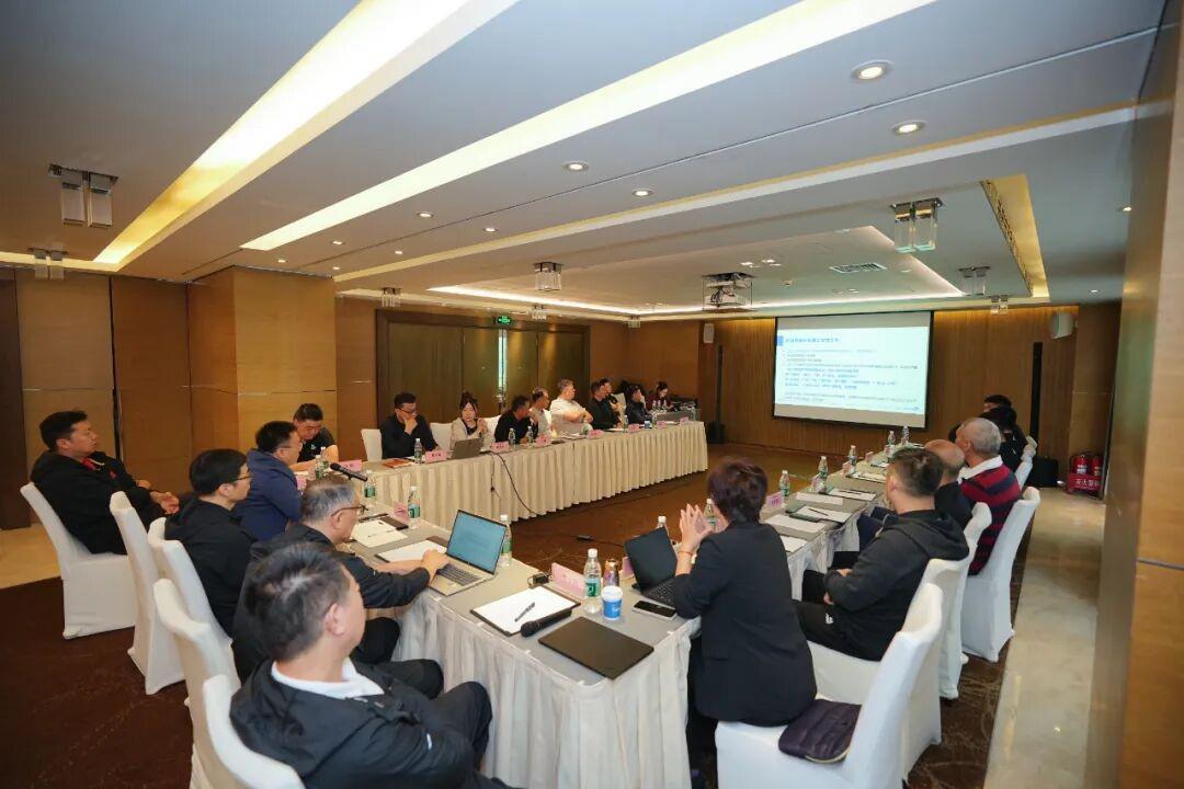 集训安排, 振兴战略对