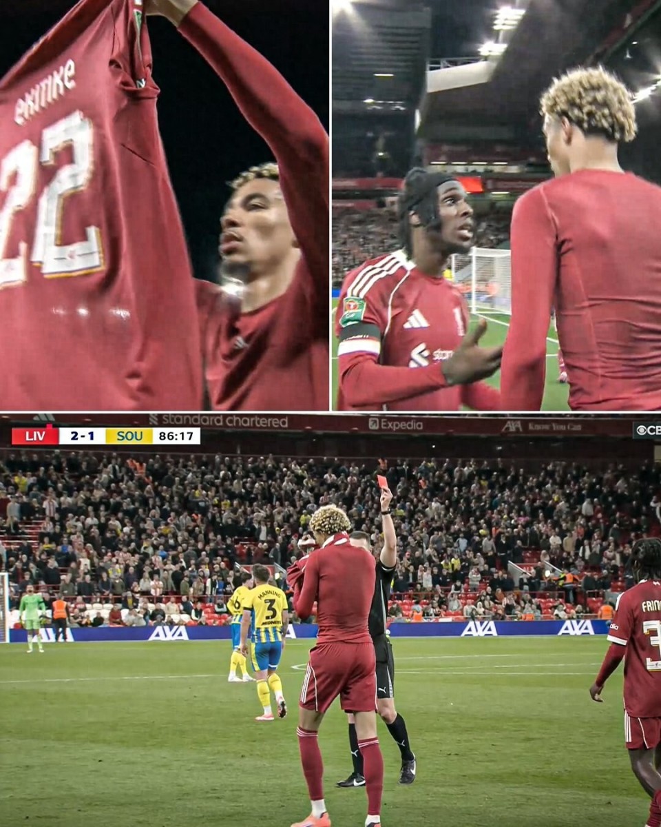 IJDqV, 如今富不富 IJDqV, 如今富不富